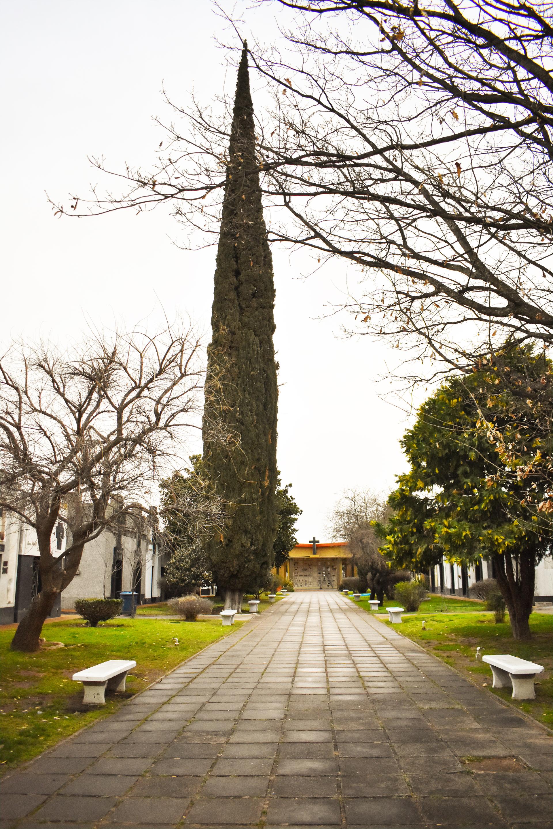 Cementerio