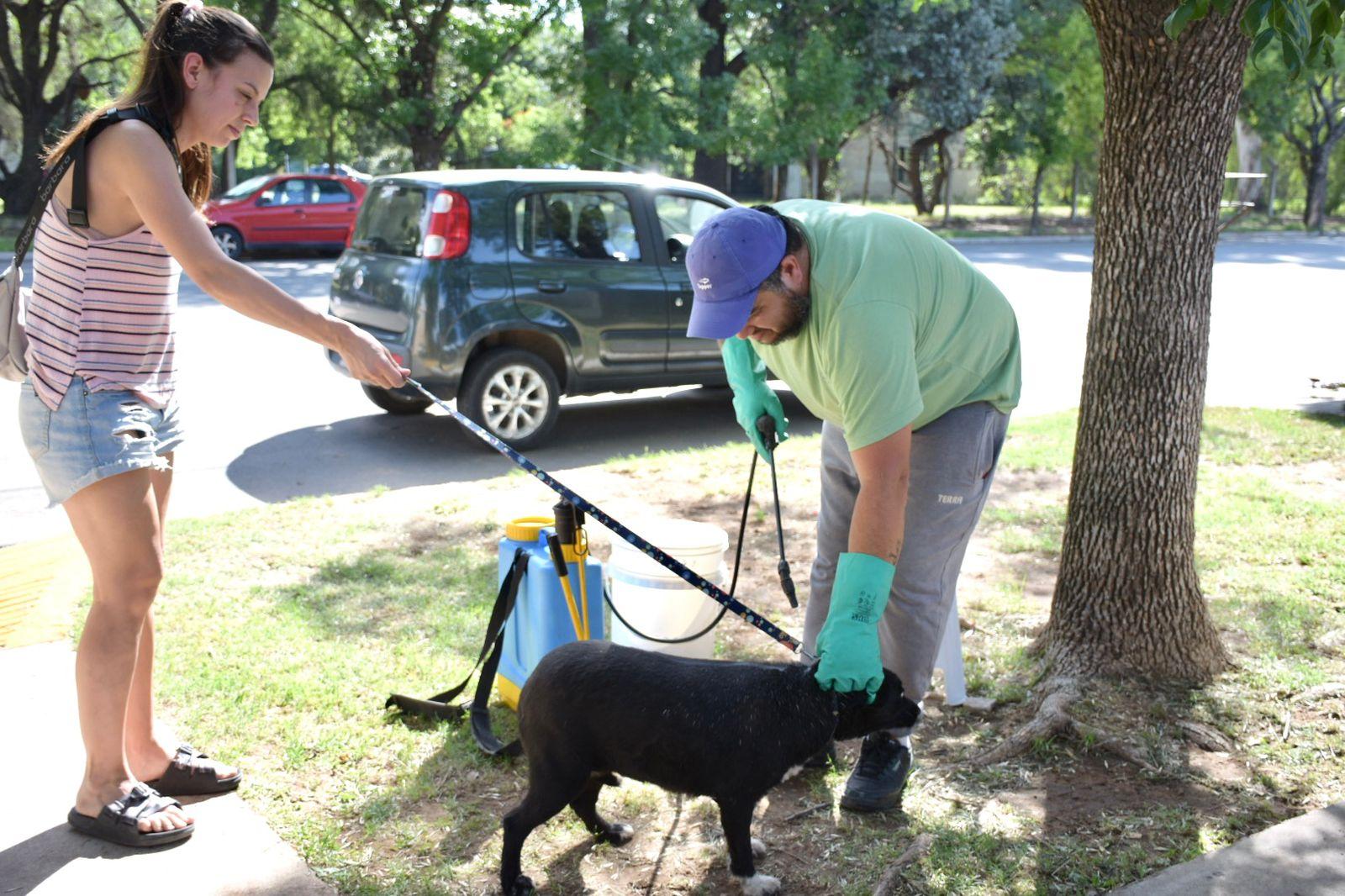 ESTE VIERNES COMENZARÁ LA CAMPAÑA MUNICIPAL CONTRA LA GARRAPATA Y VACUNACIÓN ANTIRRÁBICA