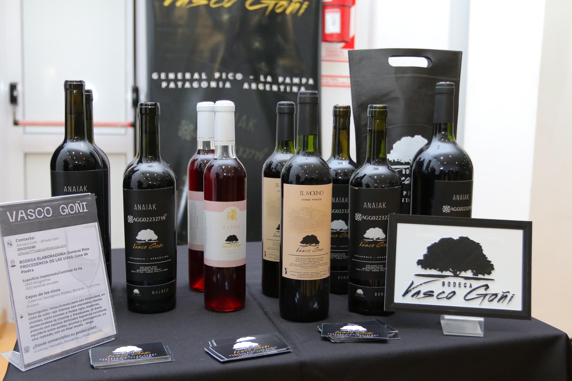 VINOS DE LA PAMPA: “HAY UN GOBIERNO QUE MIRA ESTA SITUACIÓN, APUESTA Y FAVORECE SU PRODUCCIÓN”