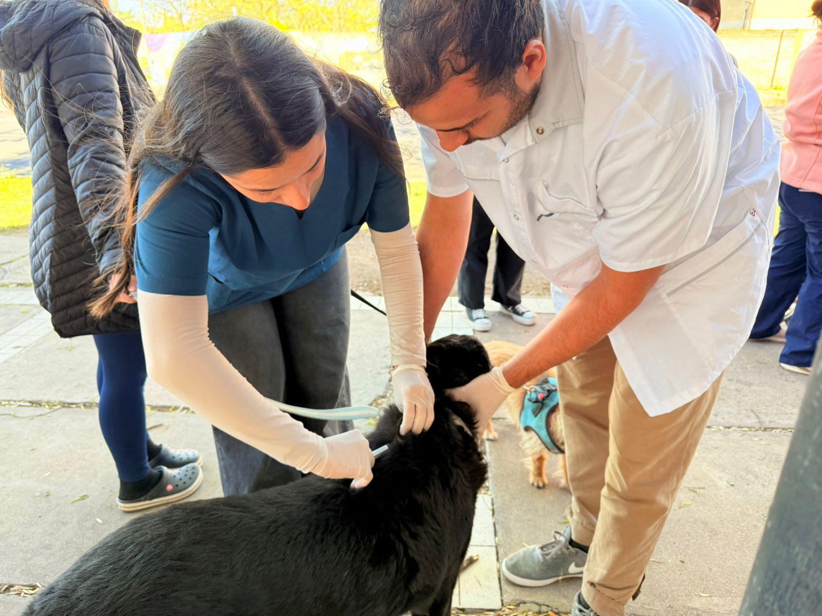 QUINTA JORNADA DE VACUNACIÓN ANTIRRÁBICA
